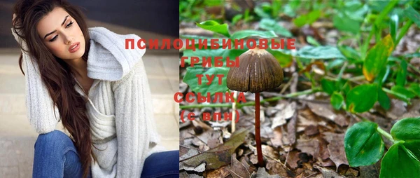 дживик Новокубанск