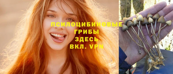 герыч Няндома